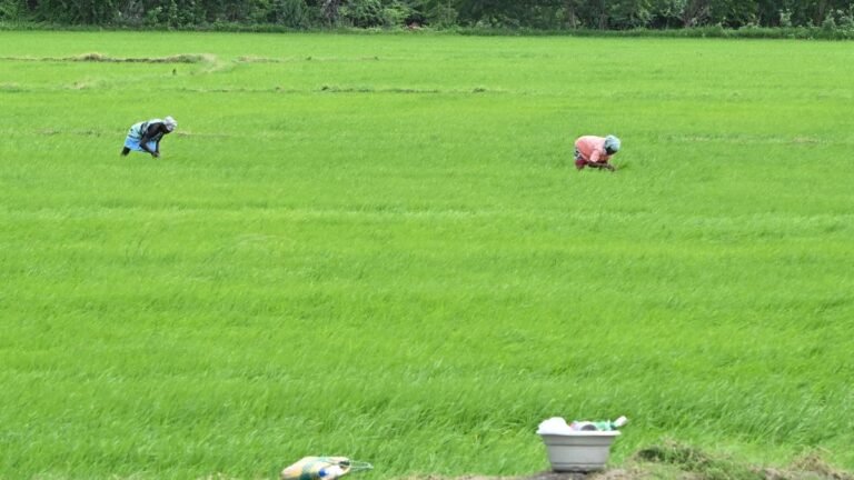 Tamil Nadu Elections 2026: Thiruvadanai constituency faces water shortage, administrative limbo