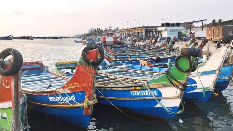 Fish prices are soaring in Kozhikode as climate stress reduces catches