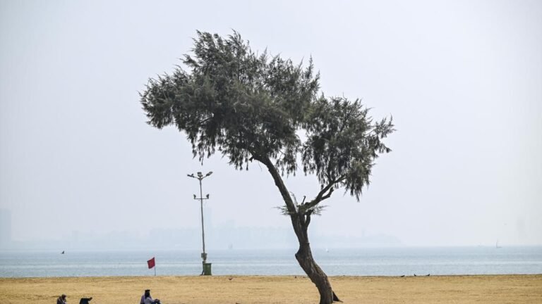 Maharashtra heatwave alert till April 20; Akola the hottest at 44.2°C
