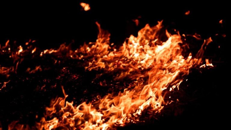 Woman sets boyfriend on fire in Bengaluru, arrested