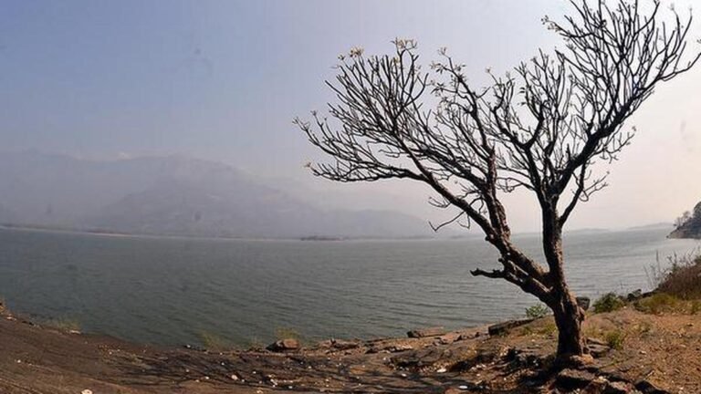 The temperature crosses the 40°C mark in Kerala’s Palakkad