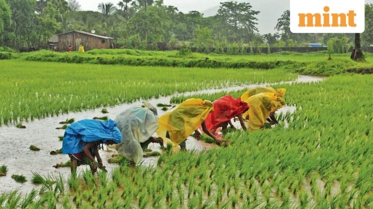 Drier monsoon on the way: IMD predicts sub-normal rains this year | Today’s news