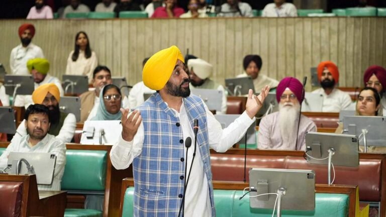Why did Punjab introduce new sacrilege law?