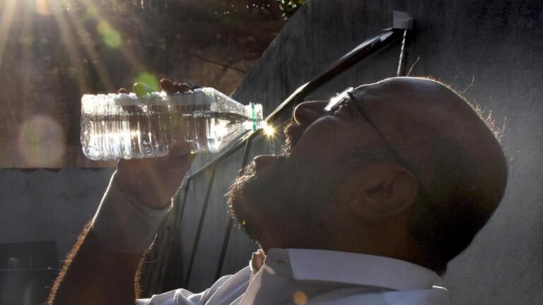 Scorching heat grips Mysuru district, HD Kote nears 40C