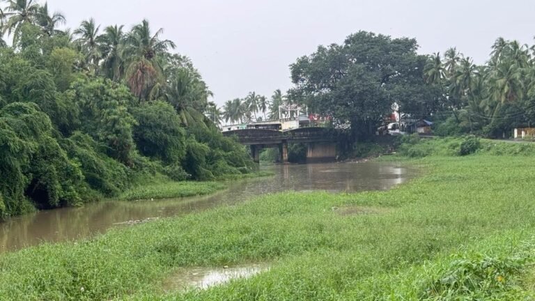 Tamil Nadu Elections 2026: Infrastructure gains, civic gaps define electoral mood in Nagercoil constituency