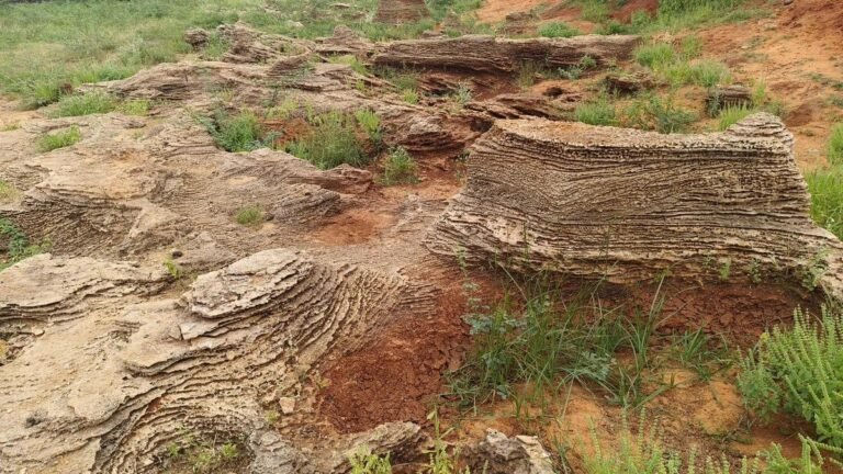 The Panaiyur fossil assemblage dates to the Holocene: a study