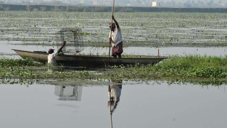 Delay in fixing Kolleru Lake boundaries vexes SC-appointed panel