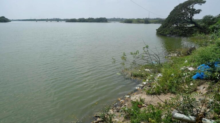 Tamil Nadu Election 2026: Voters of Tirukkoyilur constituency feel left out, disappointed by post-bifurcation confusion