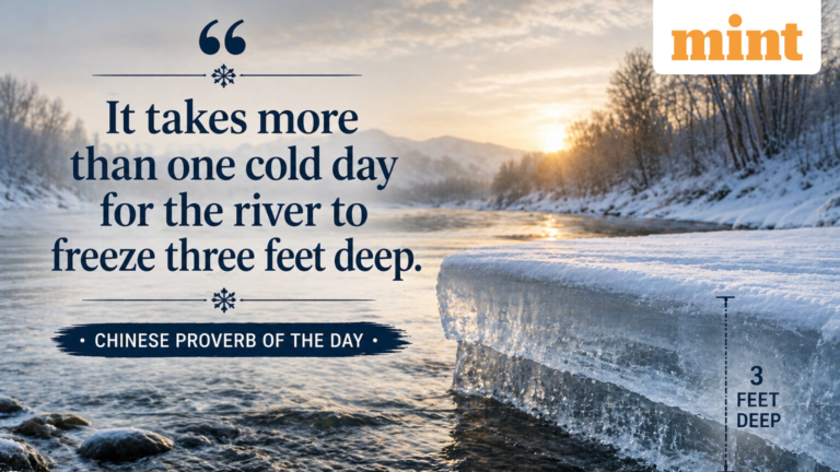 Chinese Proverb of the Day: ‘It takes more than one cold day…’; significance, business lessons and why it still matters today | Today’s news