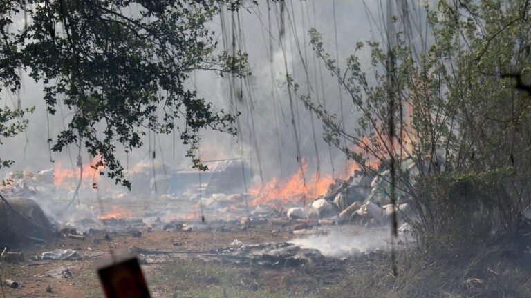 Implementation of guidelines could avert firework accident in Kerala’s Thrissur, experts say