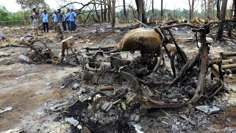 Calls to remove elephants and fireworks from temple festivals grow louder in Kerala