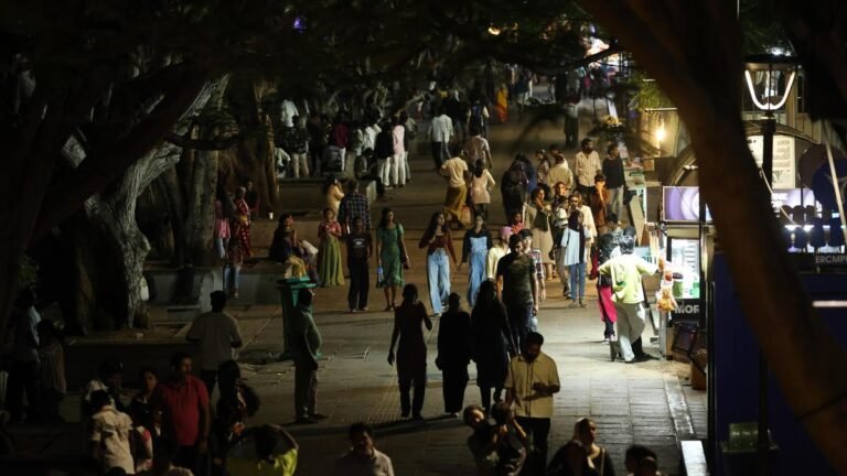 Kochi Corporation proposes to facilitate nightlife along the Marine Drive Walkway