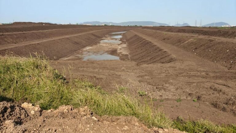 Blue City a mix of infrastructure and environmental planning