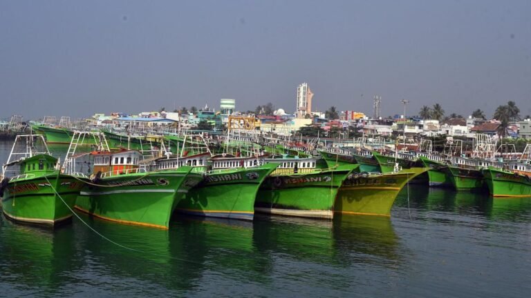 Tamil Nadu Elections 2026: Fishermen in Colachel constituency seek fair representation