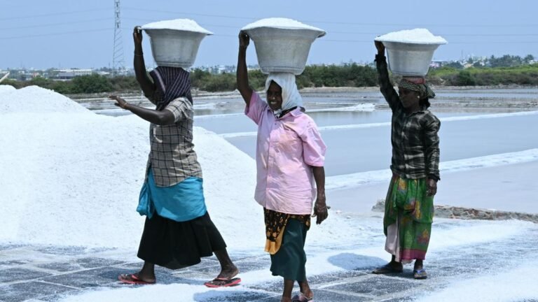 Tamil Nadu Elections 2026: Salt pan workers aggrieved over lack of better amenities in Thoothukudi constituency