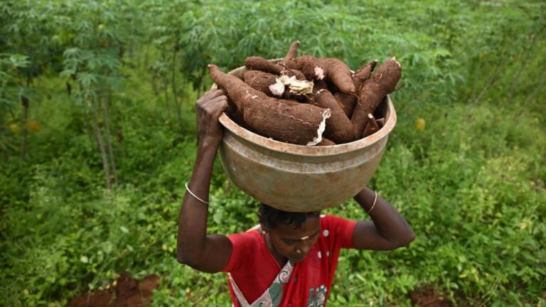 Tamil Nadu Elections 2026: Two-way contest but tough act for DMK in Harur constituency