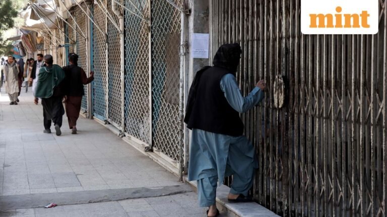 Afghanistan: 11 civilians killed in shooting by armed men in the city of Herat | Today’s news