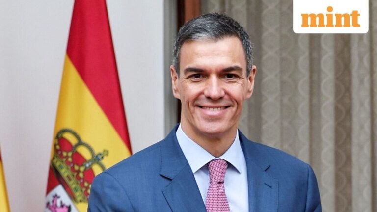 Spanish government completes migrant amnesty for thousands of undocumented residents | Today’s news