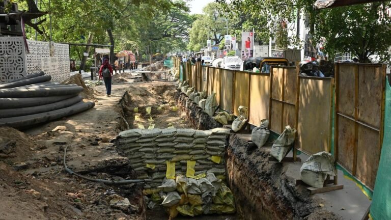 Tamil Nadu Elections 2026: Densely populated Maduravoyal constituency sees signs of progress while some civic issues persist