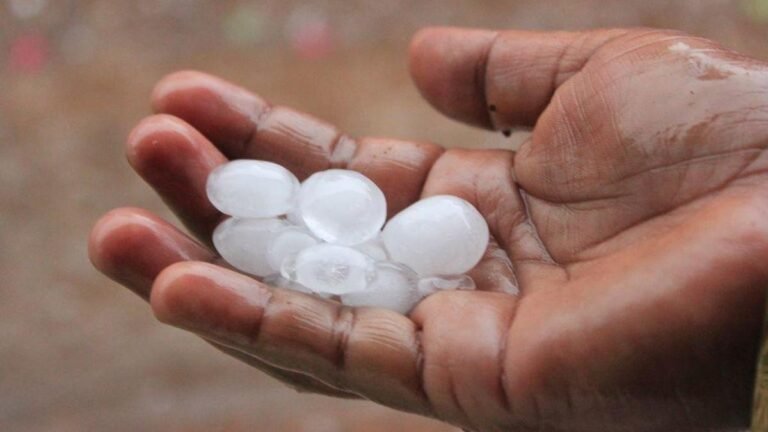 Kerala urges caution over contaminated ice as temperatures rise and steps up food safety checks