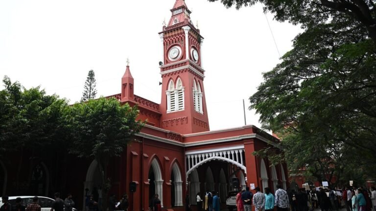 Honorary doctorates raise eyebrows for politicians