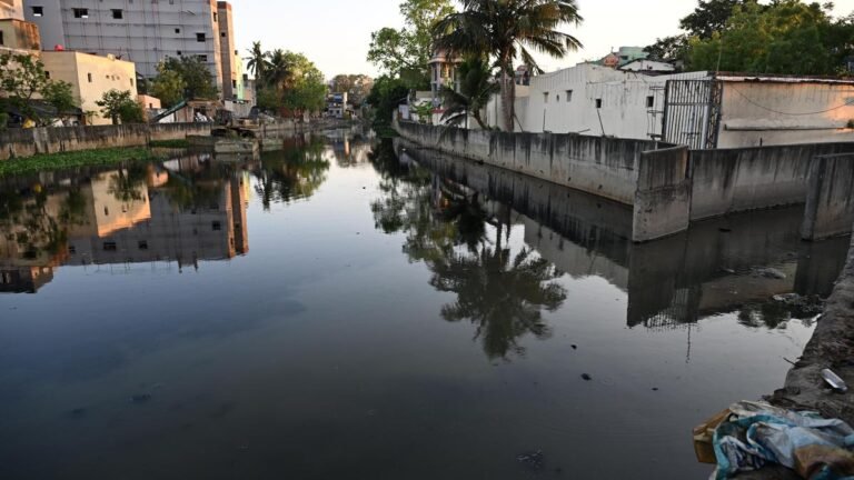 Tamil Nadu Elections 2026: Development, welfare, civic issues shape mood in Thiru polls. You. Ka. Nagar Constituency