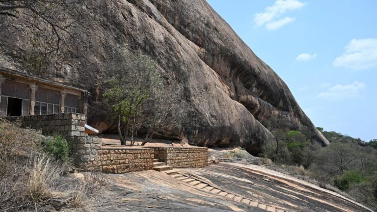 Tamil Nadu Assembly Elections 2026: Viralimalai constituency has fallen into a patchwork of problems