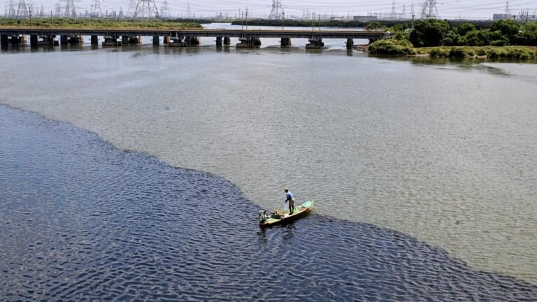 Parties converge on water, diverge on ecology: A look at environmental promises in Tamil Nadu’s election manifestos