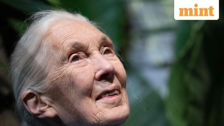Quote of the Day: Jane Goodall on Impact and Advocacy – “What you do has an impact and you have to decide…” | Today’s news