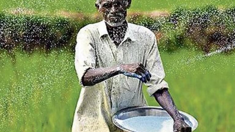 The consumption of urea is stable despite the 36% increase in the cultivated area in AP