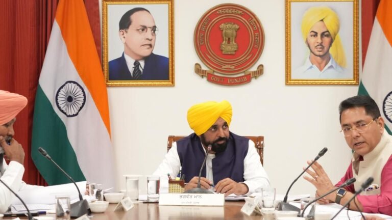 The Punjab government has given its nod to an amended sacrilege law with stiffer penalties