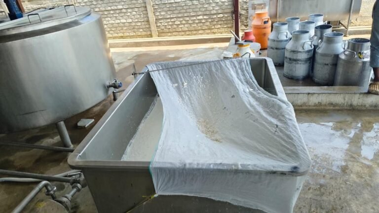 7.78 lakh worth of milk, ghee seized in Hyderabad during nationwide food safety drive