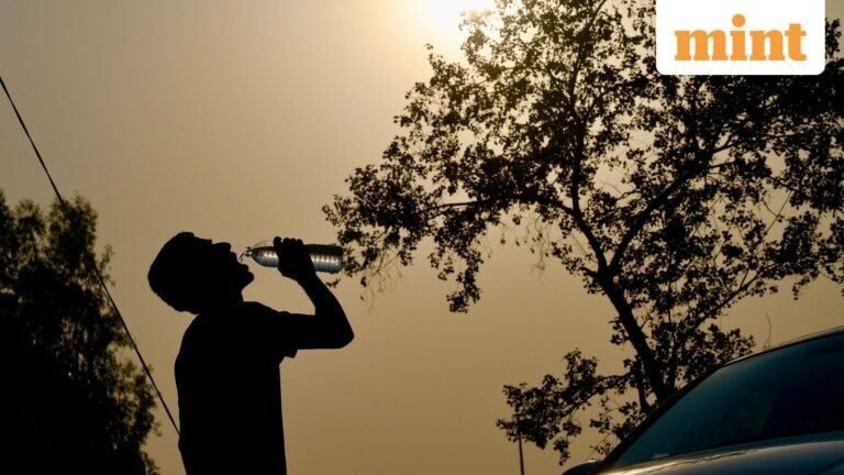 Tomorrow’s weather: Will Delhi take a break from the heat wave? IMD predicts light rainfall, thunderstorm | Today’s news