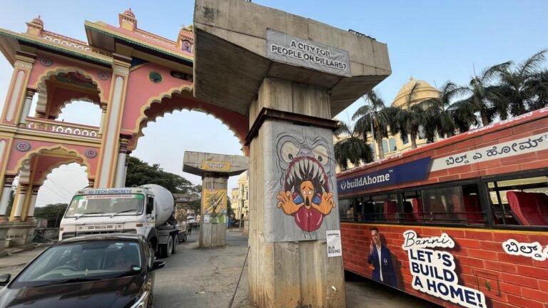 ‘Stupid projects’: Greenpeace India calls for suspension of Bengaluru’s infra projects
