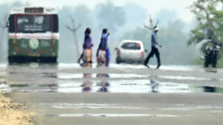 Most parts of India to experience more heat days: IMD