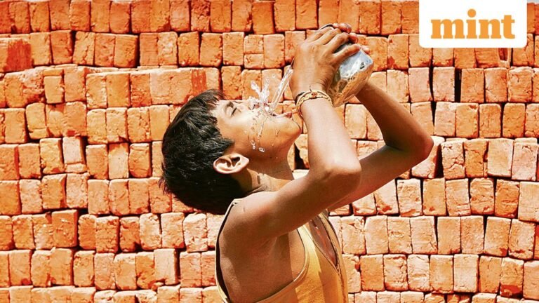 IMD sees normal daytime temperatures, warmer nights in April-June | Today’s news