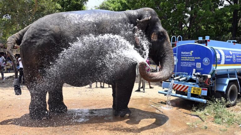 Mercury crossed 36° Celsius in Bengaluru