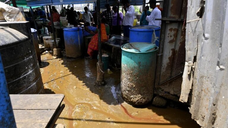 Offer to clear the rotten trail in Hyderabad’s thriving food scene