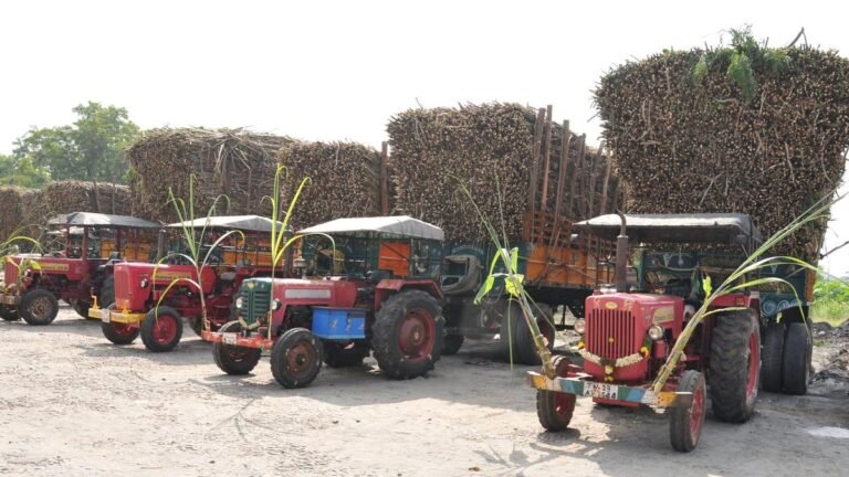 Tamil Nadu Elections 2026: In Palacode constituency, two-cornered contest on cards