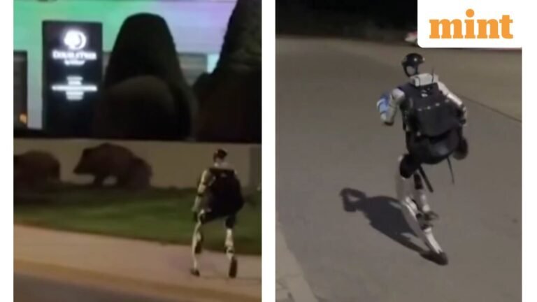 Watch: A robot chasing wild boars in Warsaw has gone viral. The Internet Says ‘The Future Looks Wild’ | Today’s news