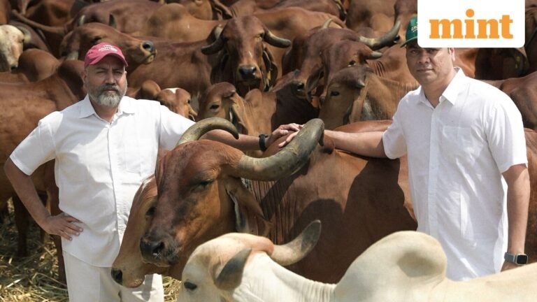 Tasting the Field: How Specialty Food Brands Travel from India’s Hinterlands to Your Pantry | Today’s news