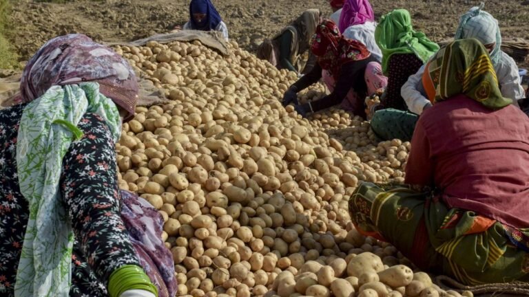 Farmers’ bodies claim that the purchase price of the center’s potatoes is only half of the input cost