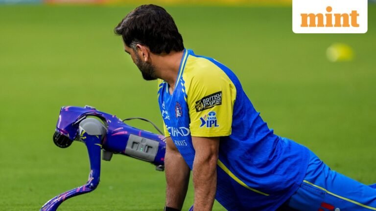 MS Dhoni’s candid video playing with IPL robot dog Champak wins hearts | Follow | Today’s news
