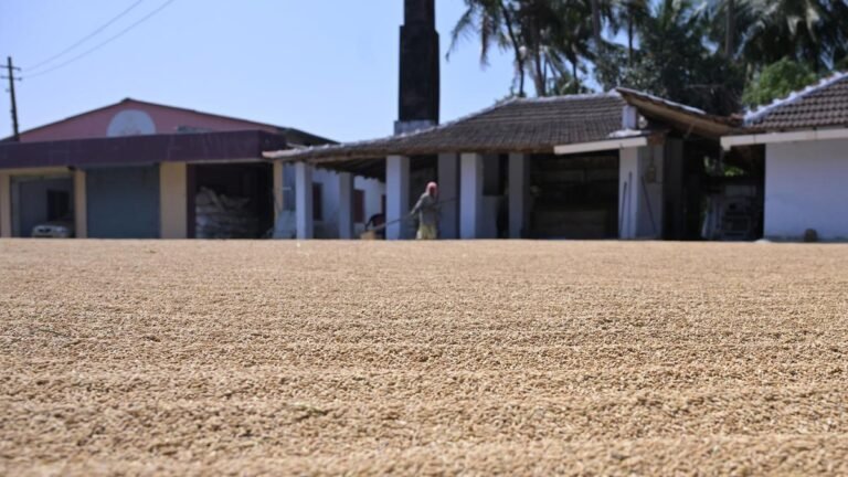 Farmers are concerned about the slow pace of purchasing paddy fields