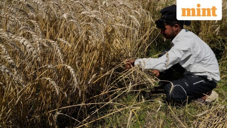 Saudi Arabia steps in with $3 billion to help Pakistan repay UAE debt | Today’s news