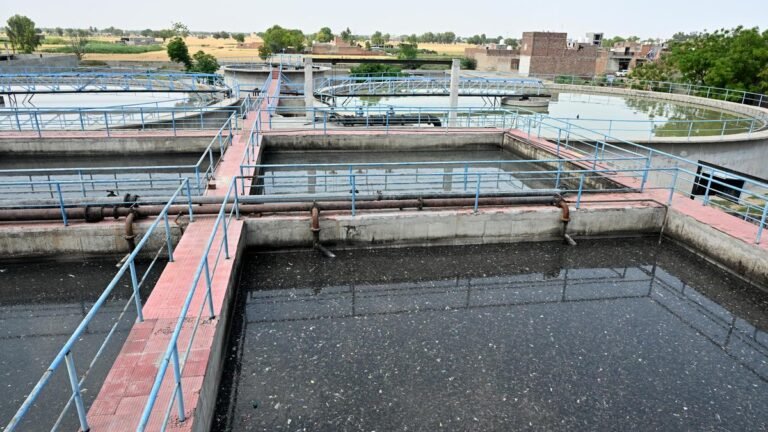 Cancer courses through Ghaggar