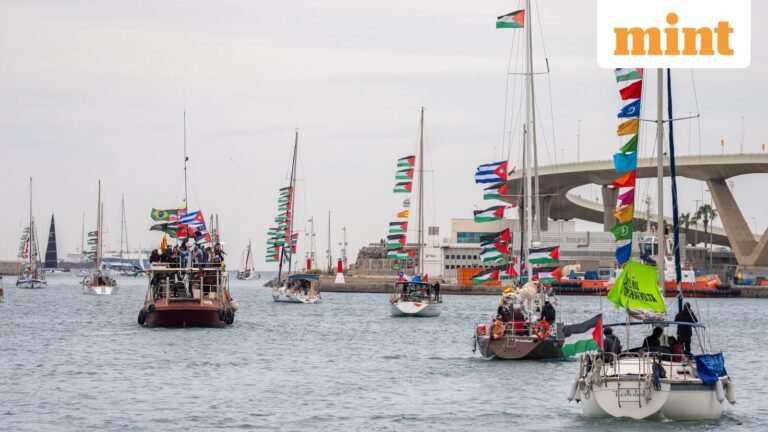 Allegations of sexual abuse aboard Mission Flotilla emerge, leader Thiago Avila named in report | Today’s news
