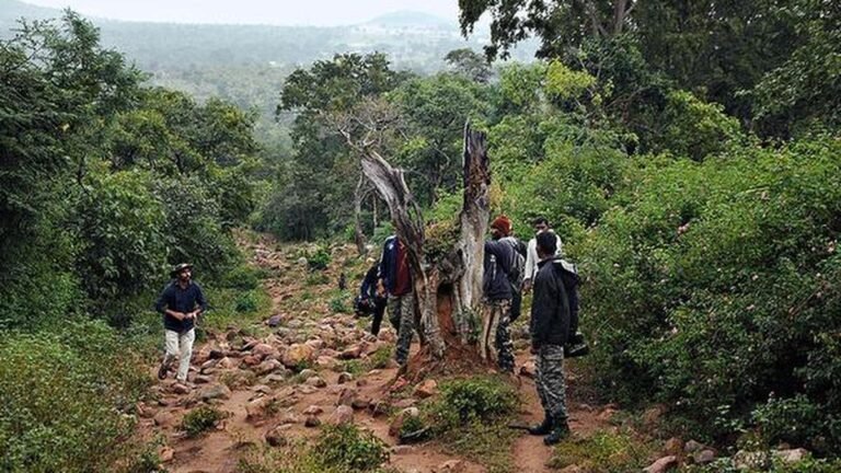 Telangana to deploy AI-based system for tracking operations in Amrabad Tiger Reserve