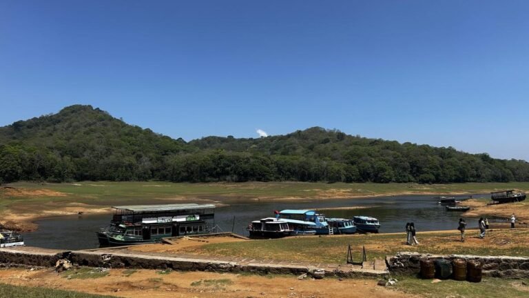 Tourism takes a hit as the level of Thekkady Lake recedes