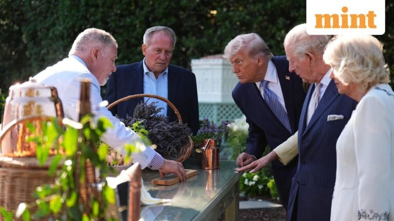 King Charles’ four-day state visit to the US: What to know about the itinerary | Today’s news